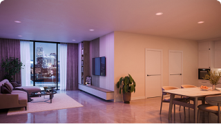 HALO Connected by WiZ Pro