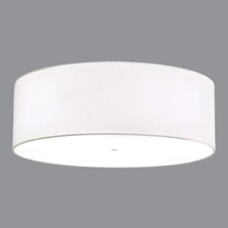 Ceiling & Surface Mount