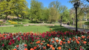 PARKS, RECREATION, & MUNICIPALITY