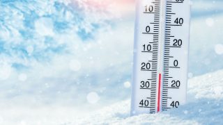 Cold & Refrigerated Tool Kit