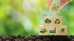 HALO consumer product packaging is now 100% plastic-free