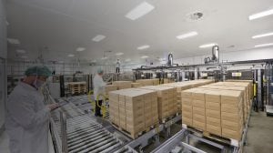 Smart Lighting Strategies for Manufacturing Facilities