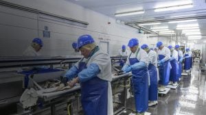 The Importance of Lighting in Food Processing Facilities