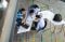 People meeting around table