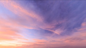 BioUp supports visibility, productivity, mood, and overall well-being.
