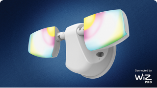 ESF WiZ Smart Floodlight