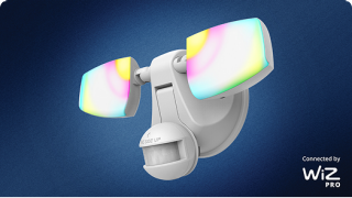 ESF WiZ Smart Floodlight with Motion